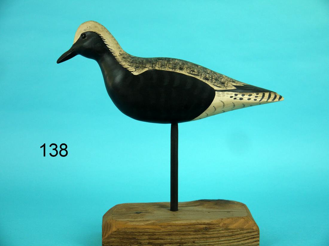 BLACK-BREASTED PLOVER, D.J. STEVENS (1 of 2)