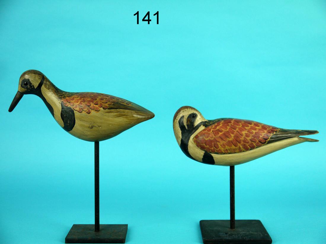 RUDDY TURNSTONE PAIR, BARNEGAT BAY (1 of 2)