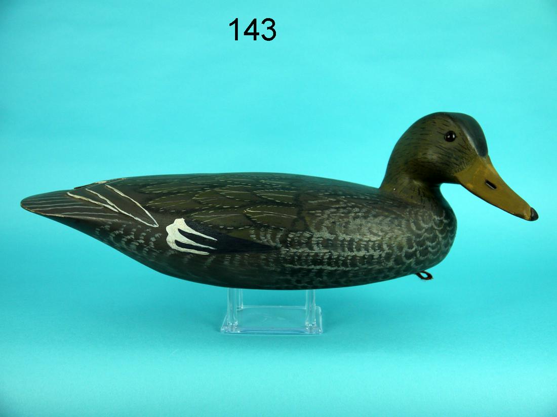 BLACK DUCK, J. HAMILTON (1 of 4)