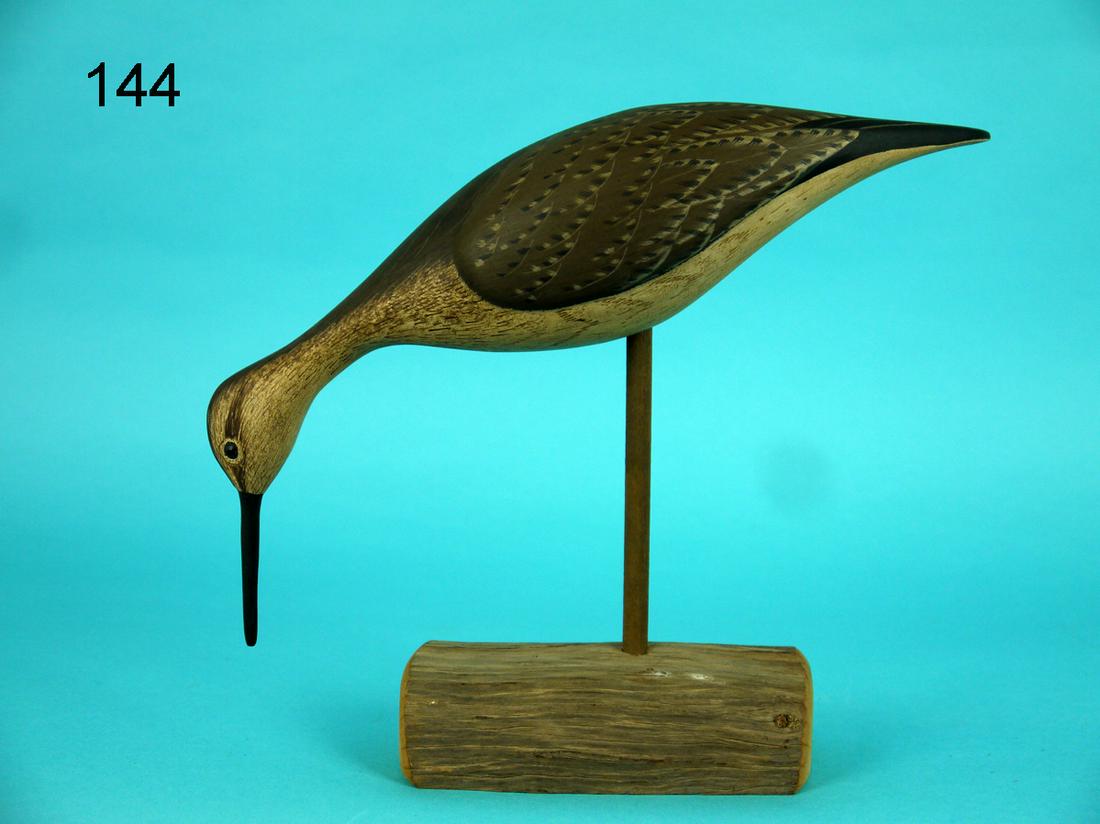 GREATER YELLOWLEGS, G. COOKE (1 of 4)