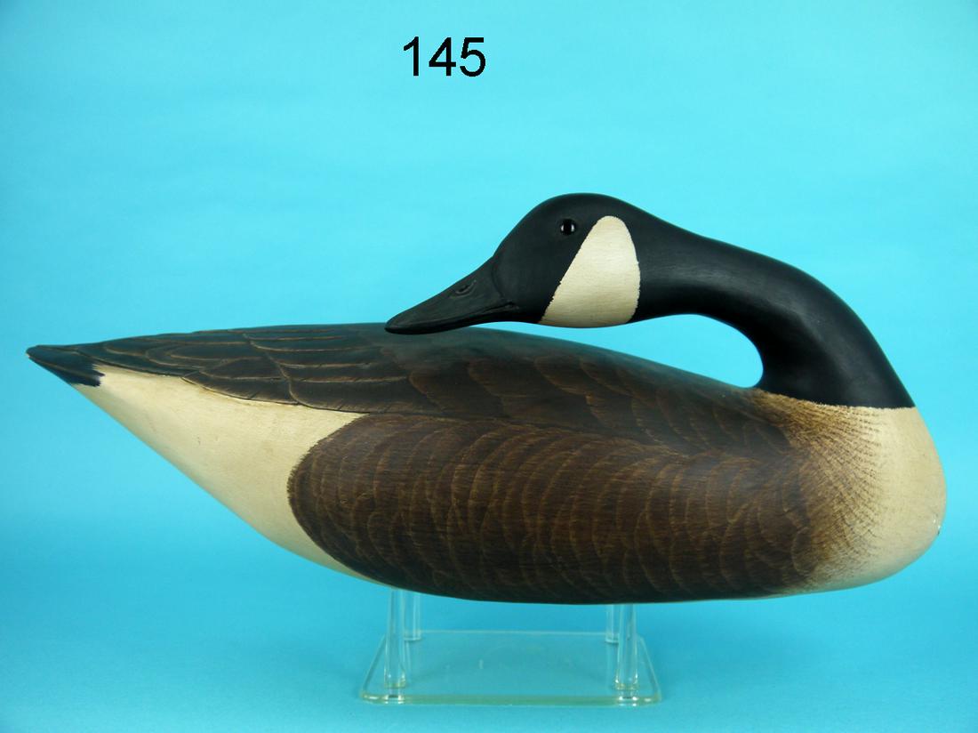 CANADA GOOSE, G. COOKE (1 of 4)