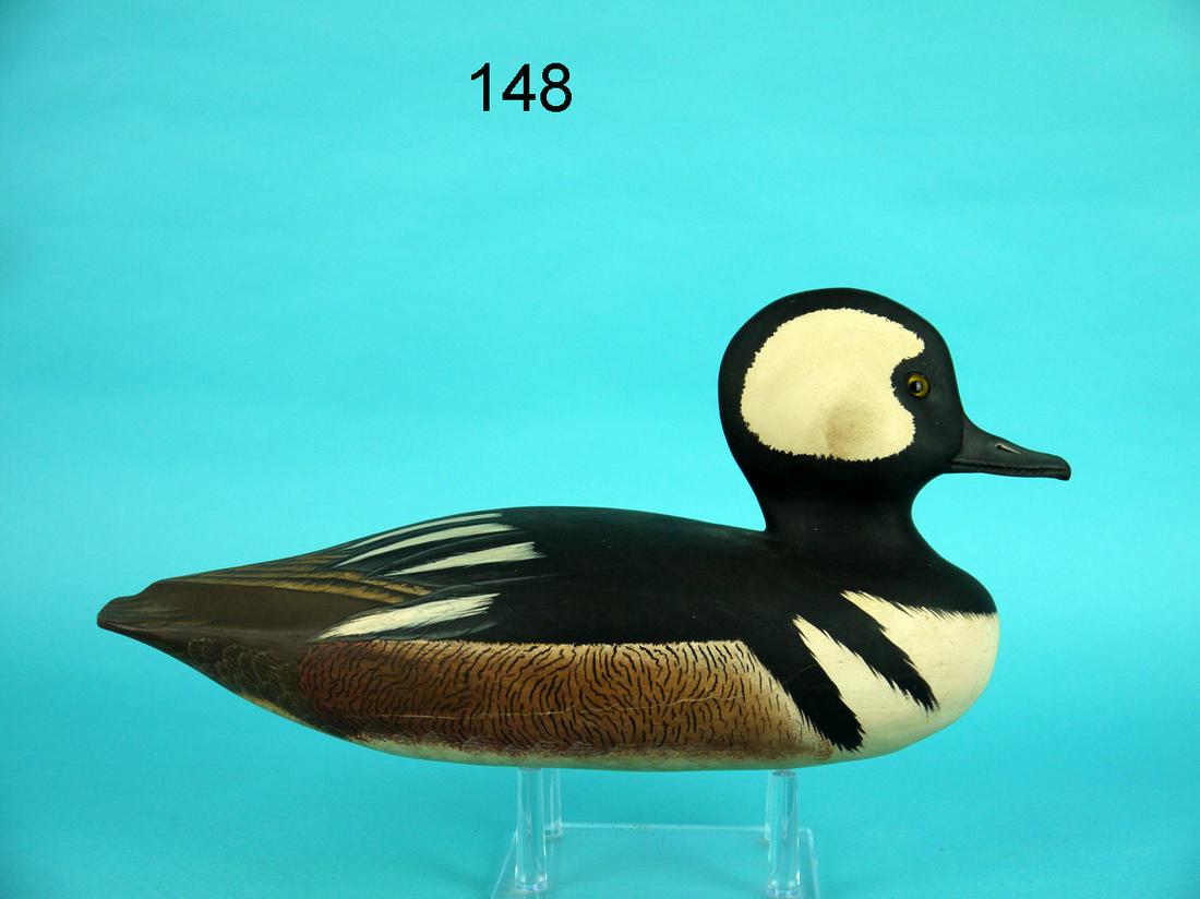 HOODED MERGANSER DRAKE, G. COOKE (1 of 4)