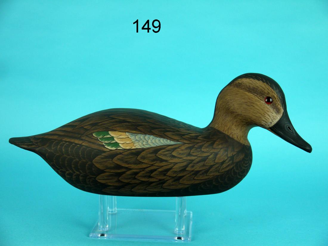BLUE WING TEAL HEN, G. COOKE (1 of 4)
