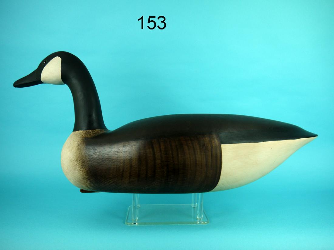 CANADA GOOSE, G. COOKE (1 of 4)