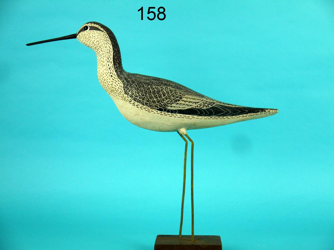 FINE YELLOWLEGS, L. STERLING (1 of 3)