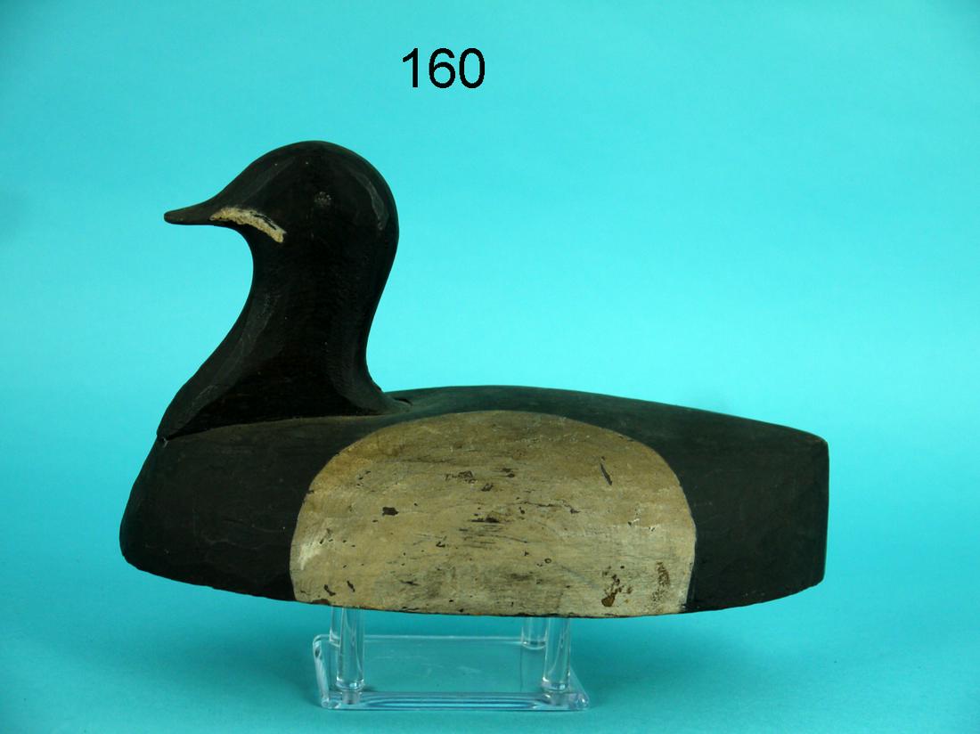 BUFFLEHEAD HEN, VIRGINIA (1 of 4)