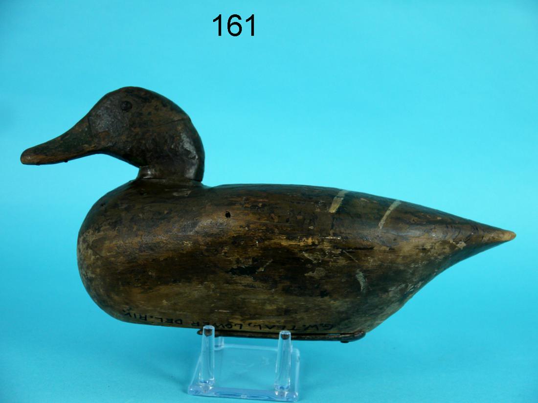 GREEN WING TEAL DRAKE, DELAWARE RIVER (1 of 4)