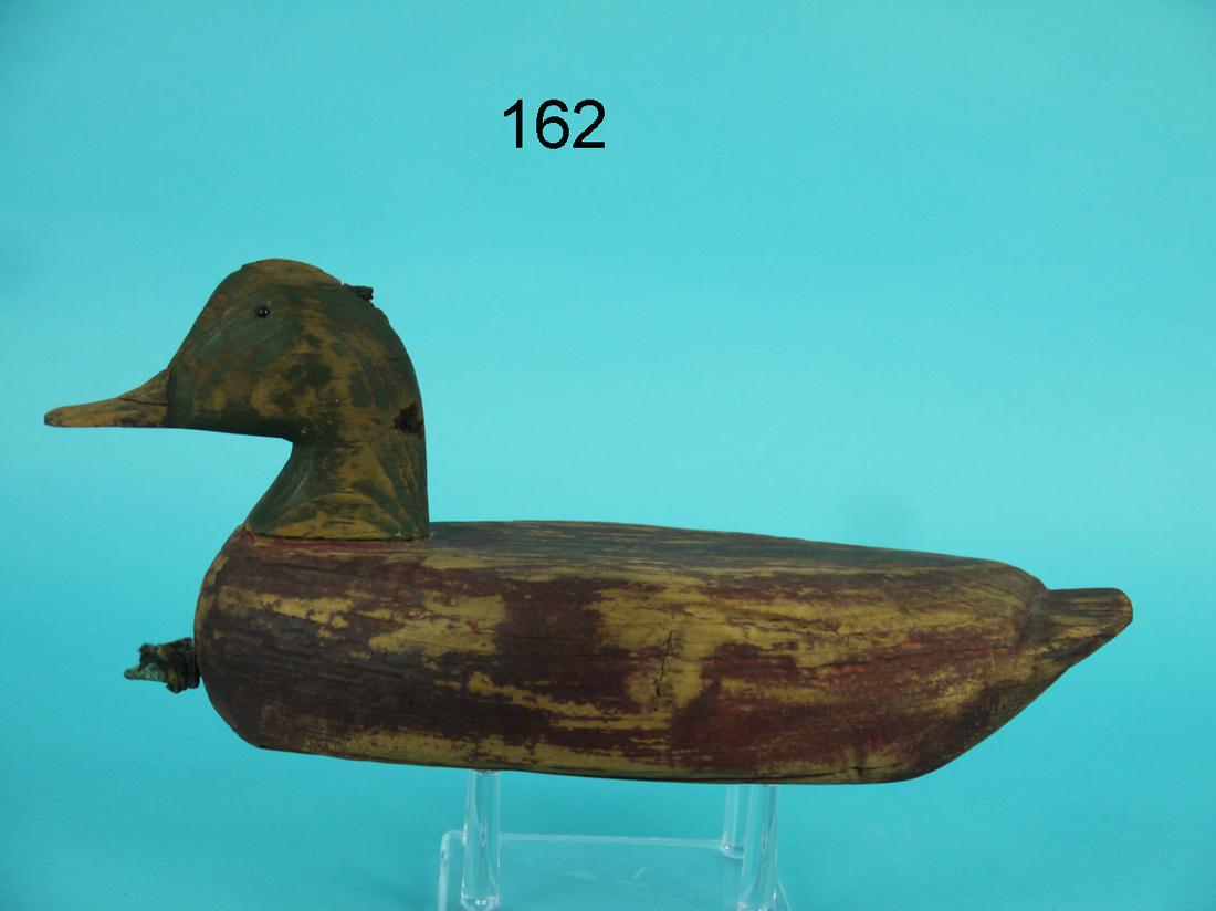 EARLY TEAL, UPPER BAY (1 of 4)