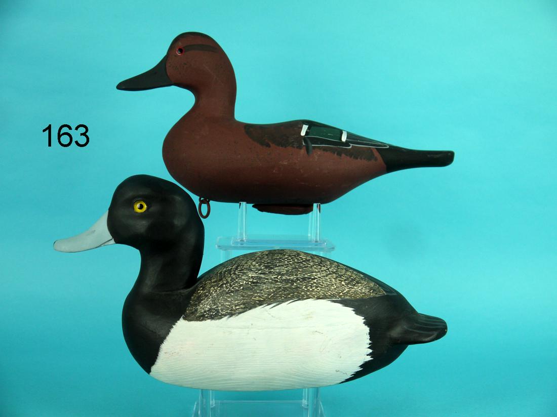 CINNAMON TEAL, V. BRYANT/BLUEBILL DRAKE J. REVELLO (1 of 4)