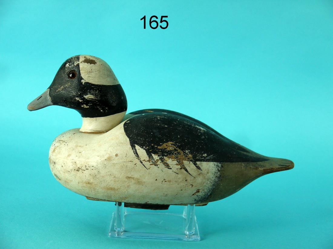 BUFFLEHEAD DRAKE, WILDFOWLER (1 of 4)