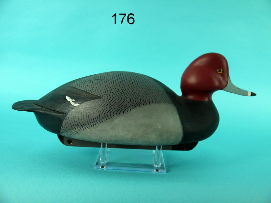 REDHEAD DRAKE, C. ALLSOP (1 of 4)