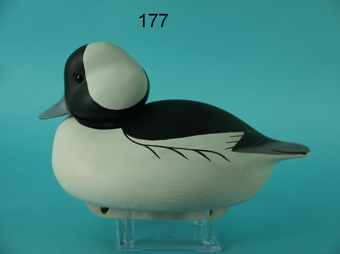BUFFLEHEAD DRAKE, C. ALLSOP (1 of 4)
