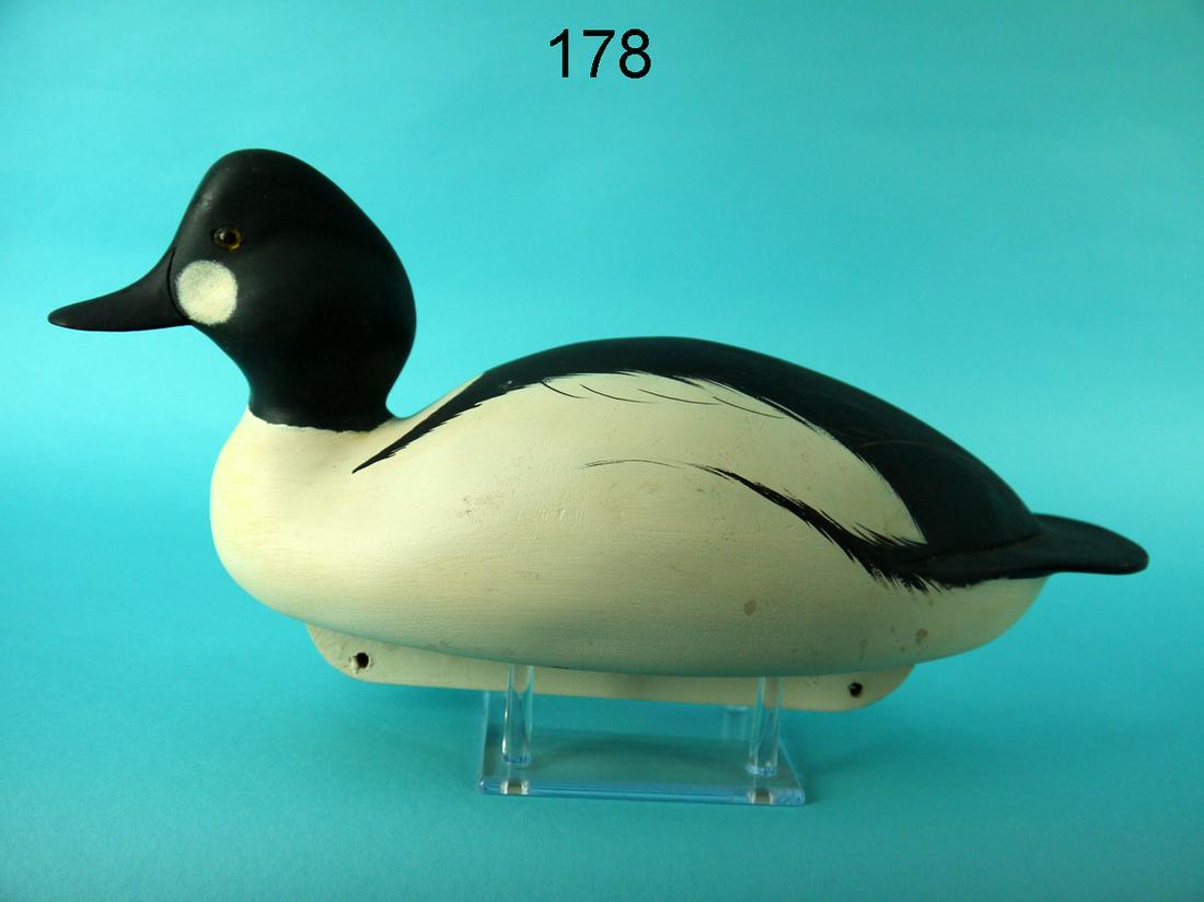 GOLDENEYE DRAKE, C. ALLSOP (1 of 4)