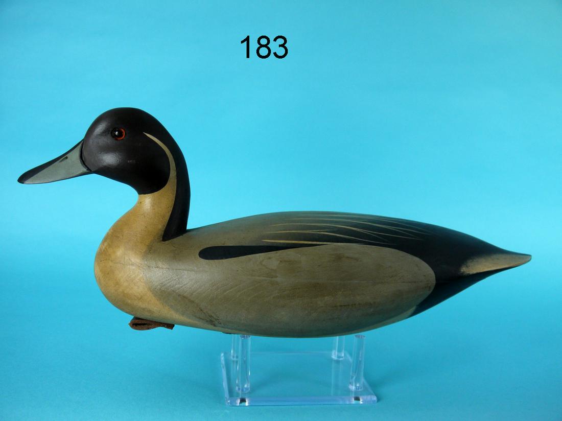 PINTAIL DRAKE, F.C. BROWN, JR. (1 of 4)