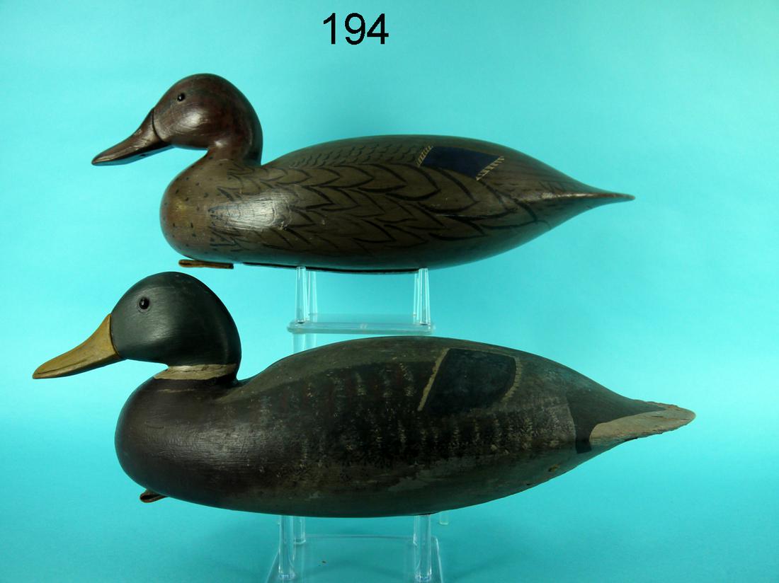 MALLARD PAIR, B. SEABROOK (1 of 4)
