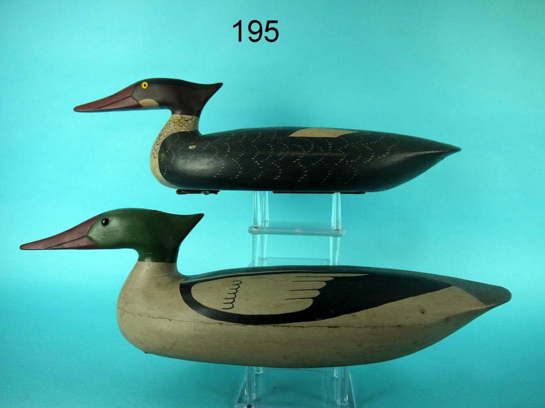 AMERICAN MERGANSER PAIR, B. SEABROOK (1 of 4)