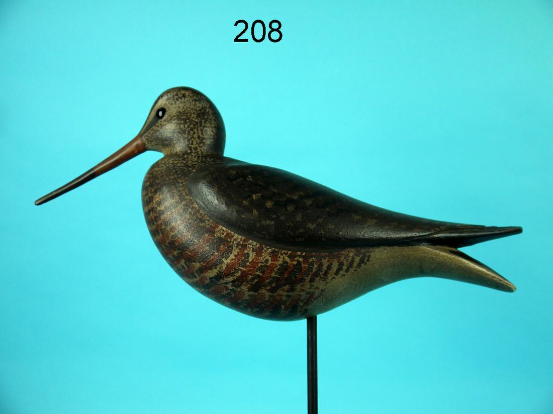 MARBLED GODWIT, S. MOREY (1 of 2)