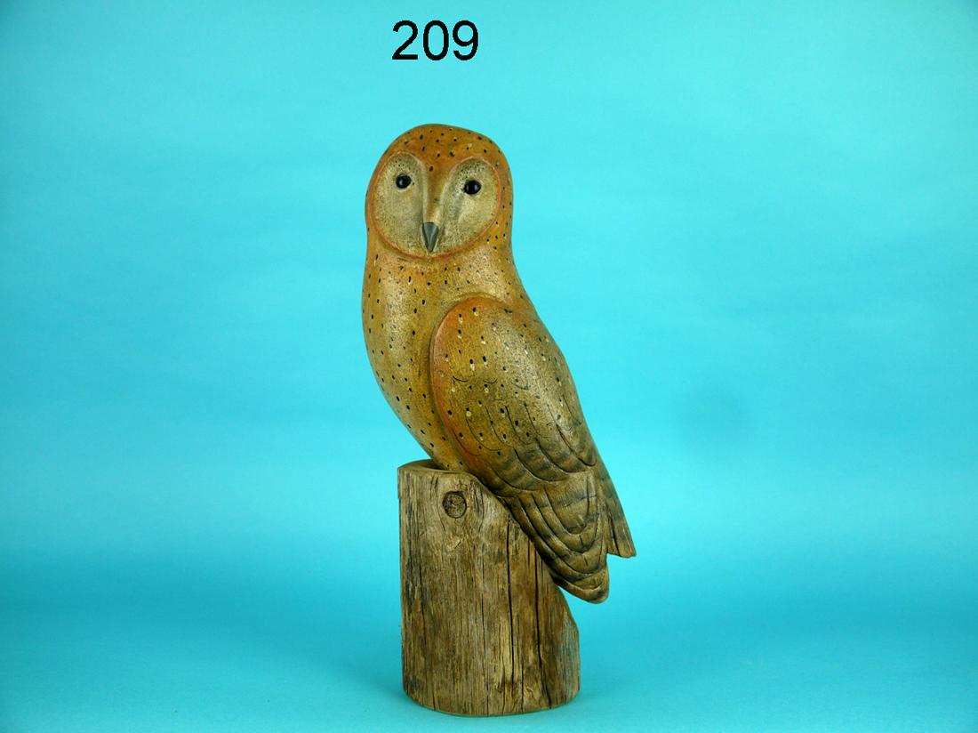 BARN OWL, K. KIRBY (1 of 3)