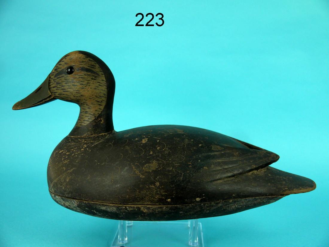 BLACK DUCK, J. SAVKO (1 of 4)