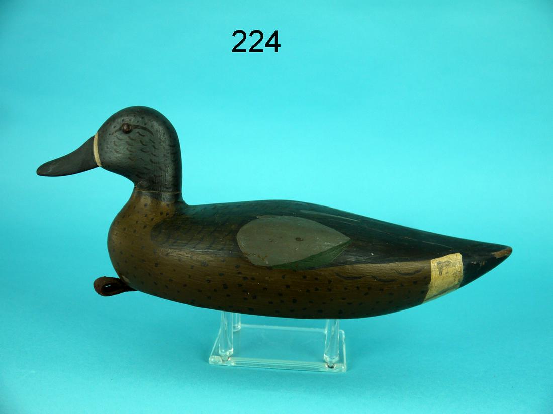 BLUE WING TEAL DRAKE, DELAWARE RIVER (1 of 4)