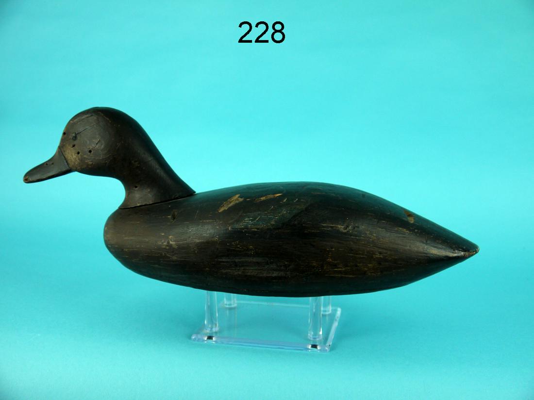 BLUE WING TEAL DRAKE, BLAIR SCHOOL (1 of 4)