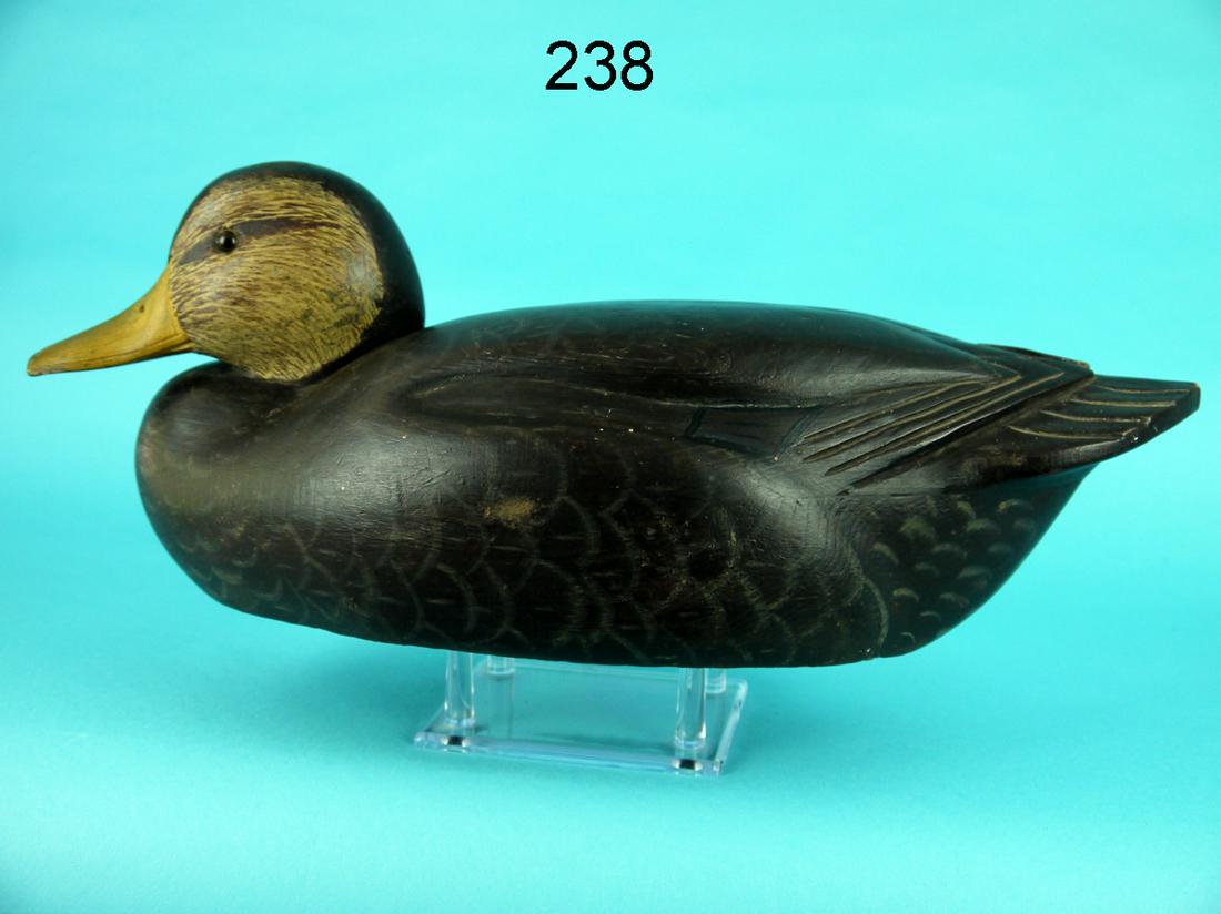 BLACK DUCK, J. MCLOUGHLIN (1 of 4)