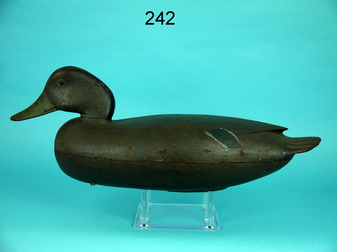 BLACK DUCK, J. ENGLISH (1 of 4)