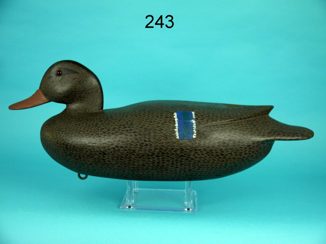 MALLARD HEN, L. BOLDIZAR (1 of 4)