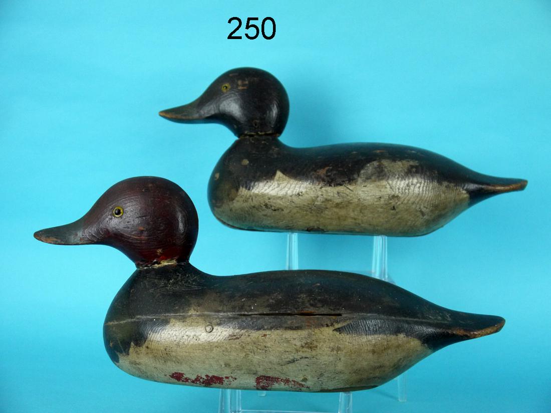 REDHEAD PAIR, MASON (1 of 4)