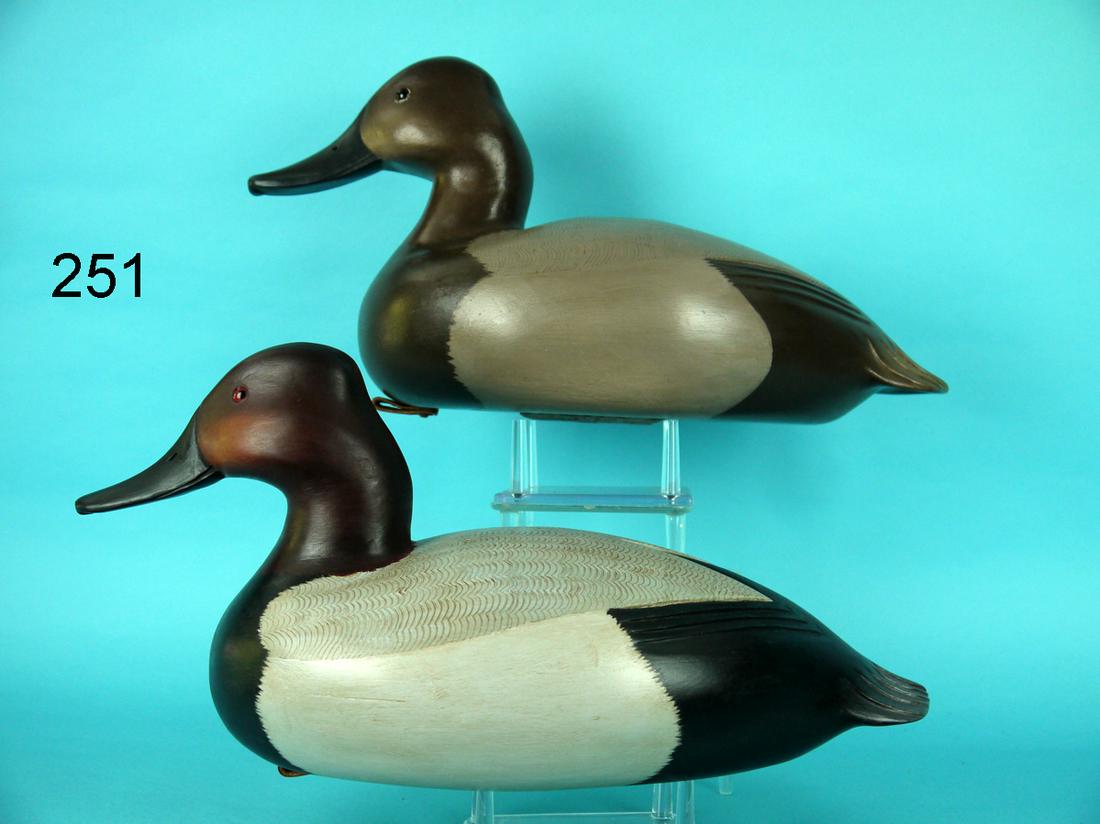 CANVASBACK PAIR, C. FENNIMORE (1 of 4)