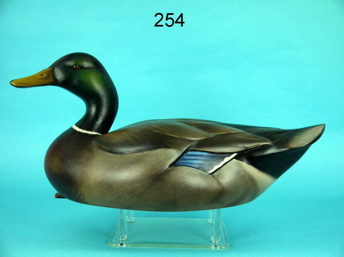 MALLARD DRAKE, S. SUTTON (1 of 4)