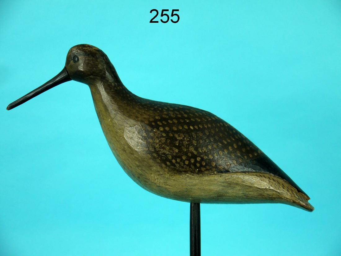 LESSER YELLOWLEG, M. MCNAIR (1 of 5)