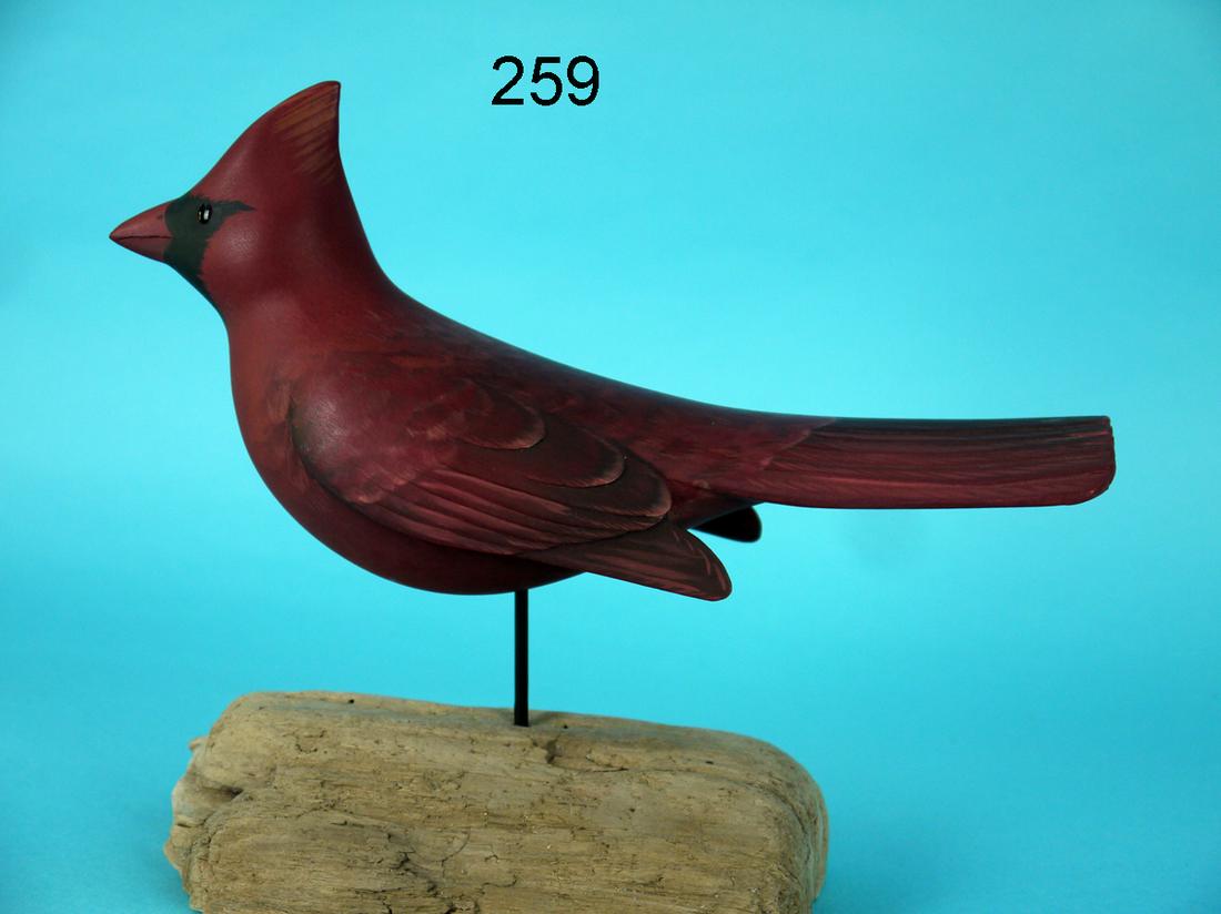 CARDINAL MALE, G. STRUNK (1 of 4)