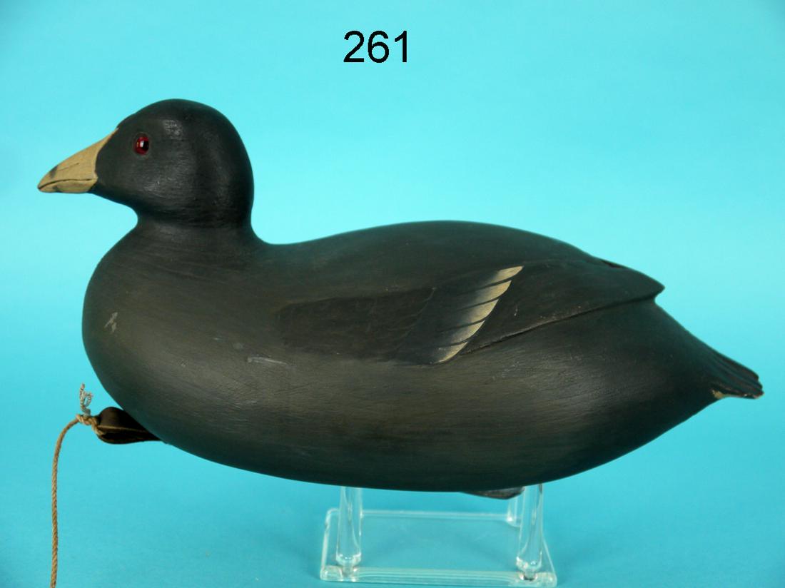 GUNNING COOT, B. WHITE (1 of 4)