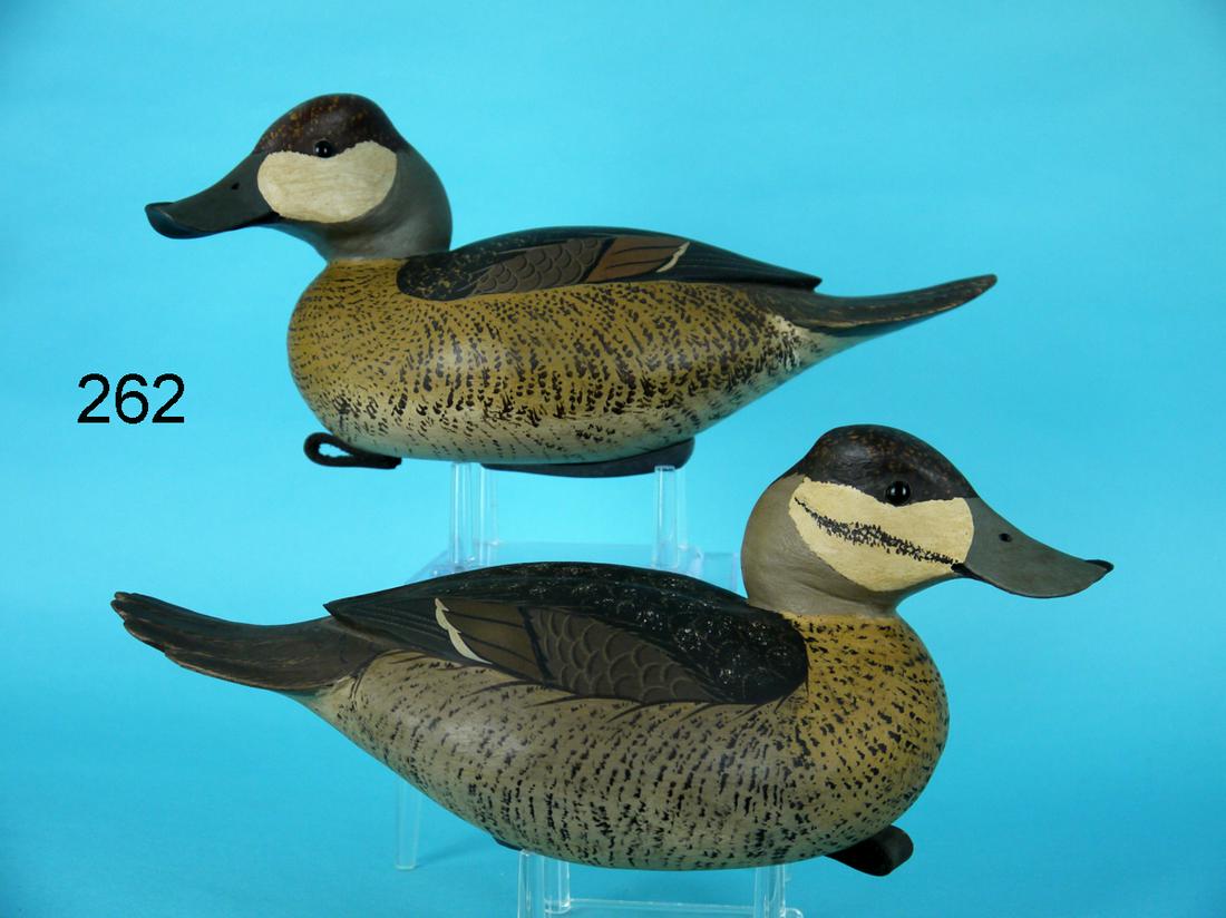 RUDDY DUCK PAIR, B. WHITE (1 of 4)