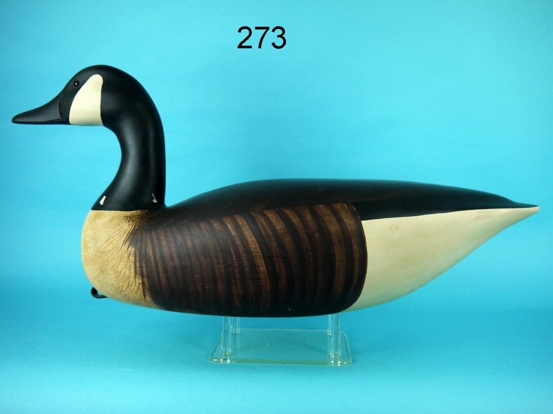 CANADA GOOSE, G. COOKE (1 of 4)