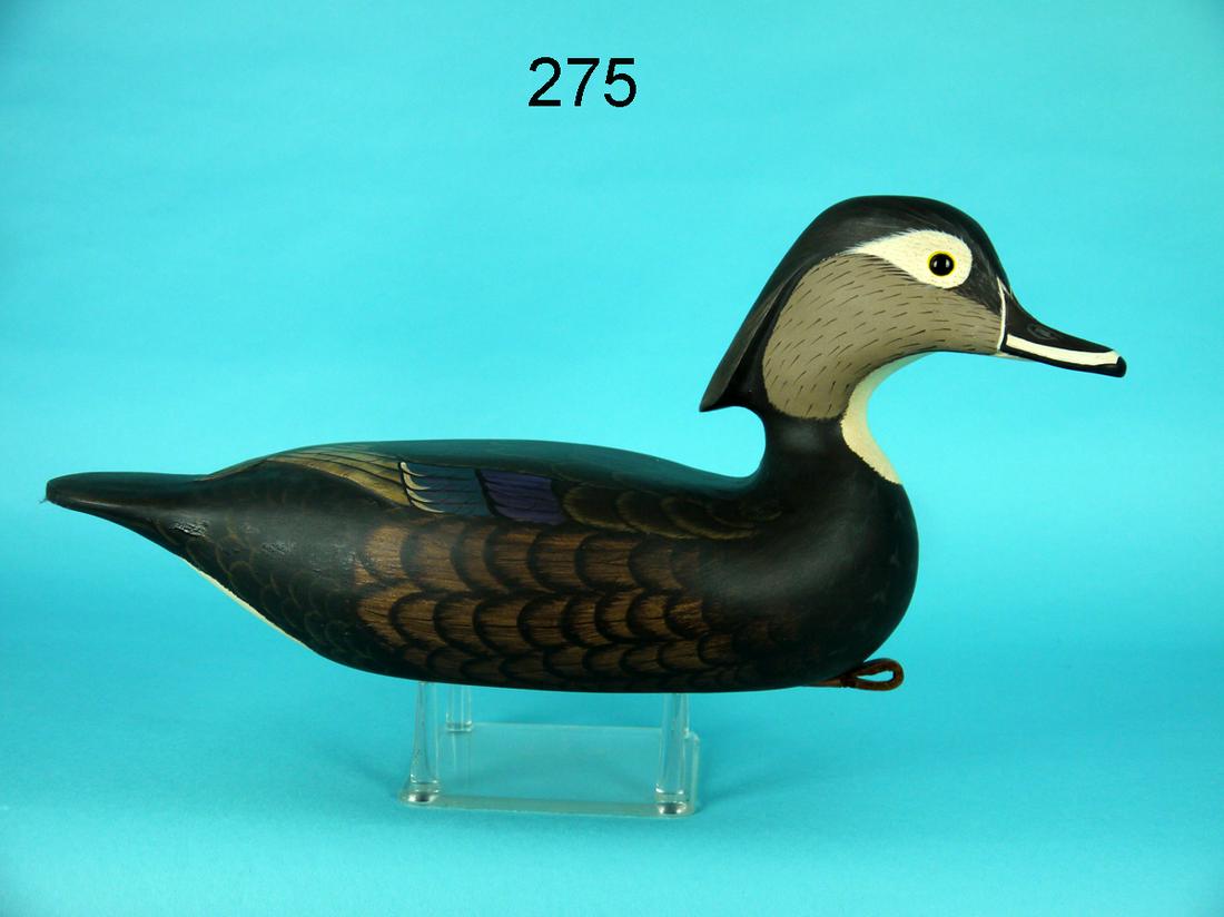 WOOD DUCK HEN, G. COOKE (1 of 4)