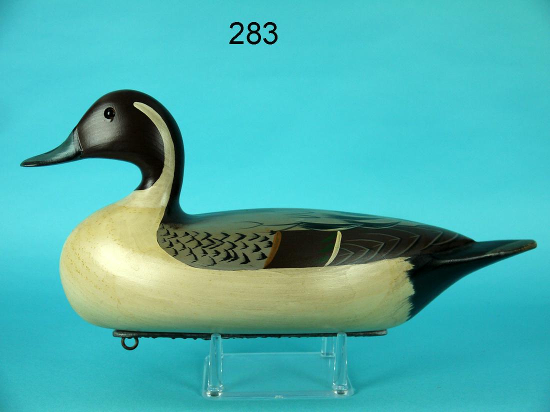 PINTAIL DRAKE, ILLINOIS RIVER (1 of 4)