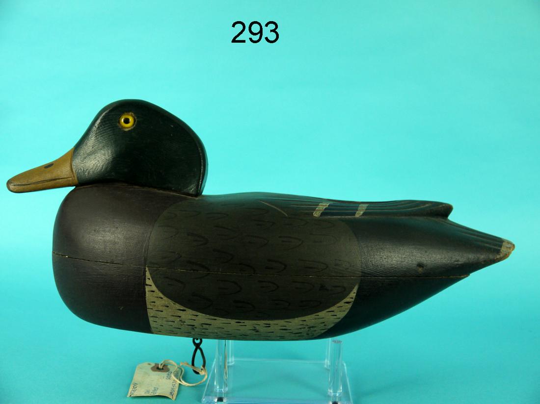 MALLARD DRAKE, DELAWARE RIVER (1 of 4)