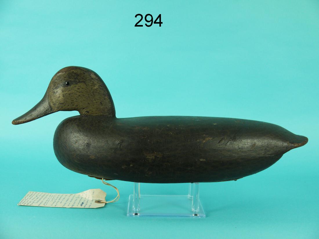 BLACK DUCK, A. GLASS: EARLY BLACK DUCK by August "Augie" Glass, Florence, NJ, circa 1930s. Very old paint, some of which appears to be original. Good structural condition. Two-inch piece of wood missing from side of head. 