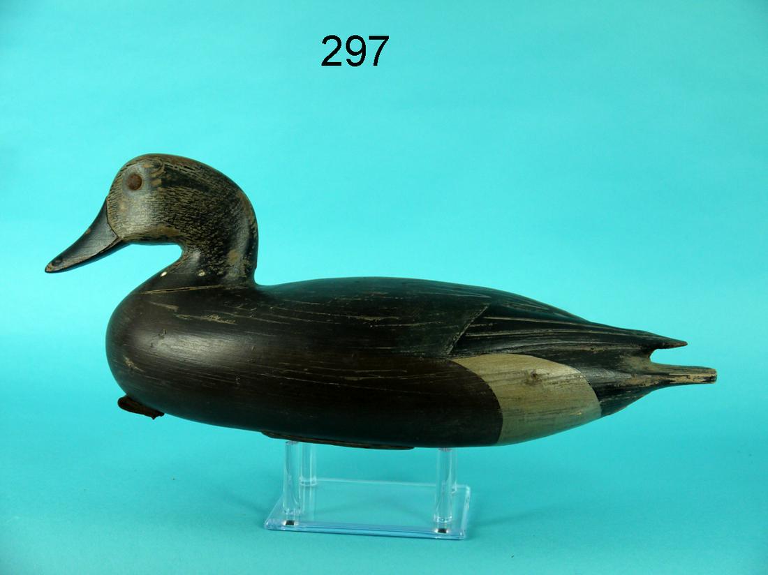 WIDGEON DRAKE, DELAWARE RIVER (1 of 4)