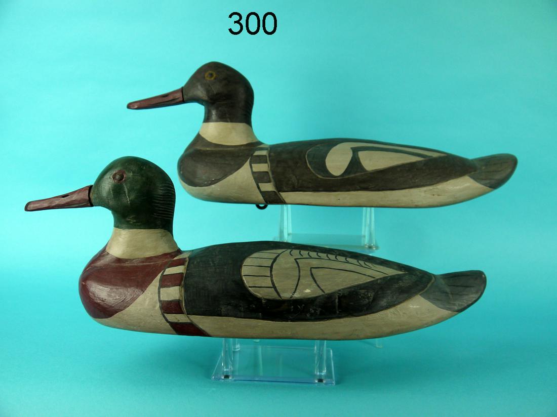 RED-BREAST MERGANSERS, MARITIME PROVINCES (1 of 4)