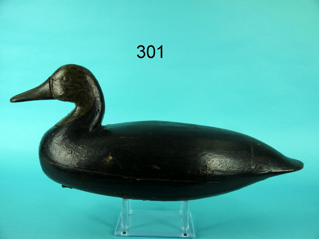 BLACK  DUCK, E. PARKER (1 of 4)