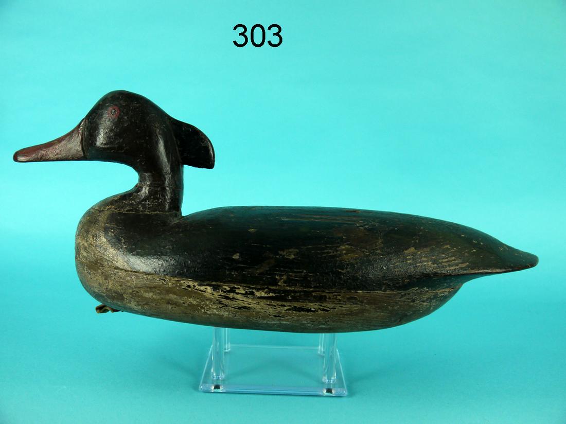 AMERICAN MERGANSER DRAKE, B. BROWN (1 of 4)