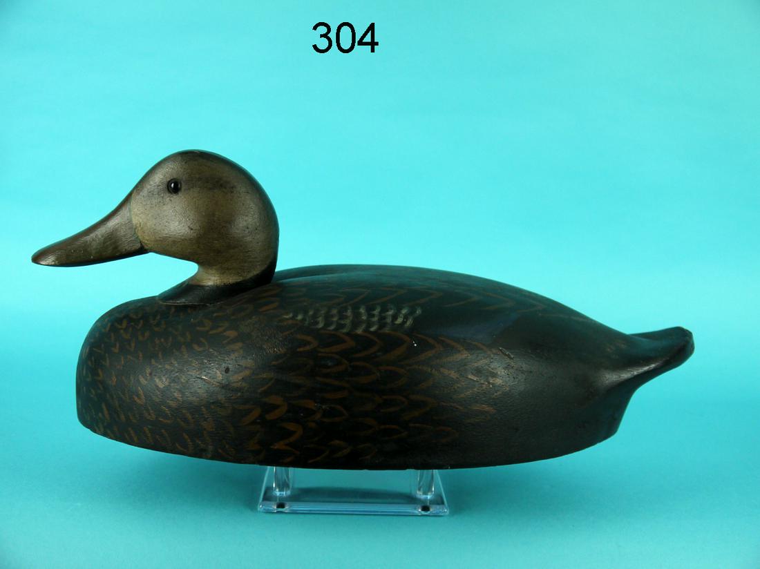 BLACK DUCK, C. SPRAGUE (1 of 4)