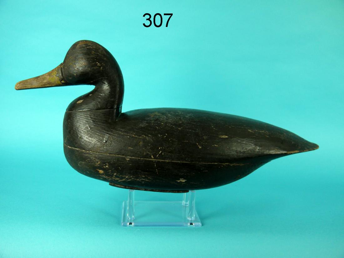 EARLY BLACK DUCK, J. KING (1 of 4)