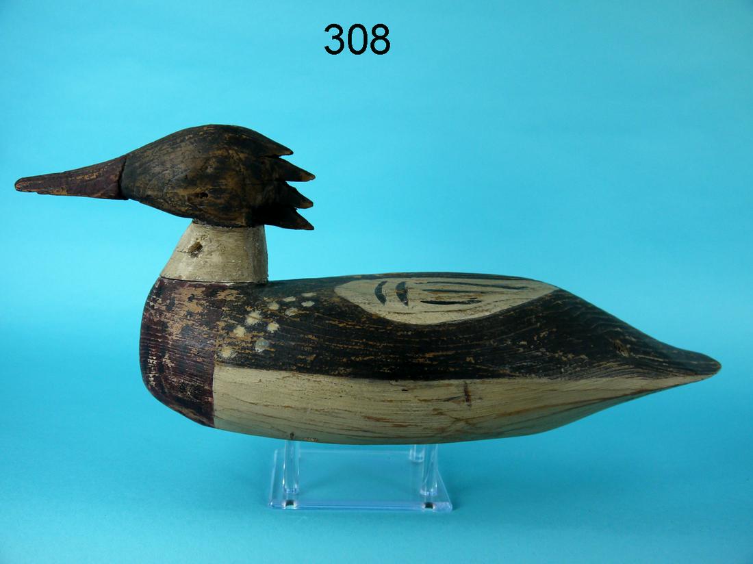 EARLY RED-BREASTED MERGANSER, NEW JERSEY (1 of 4)