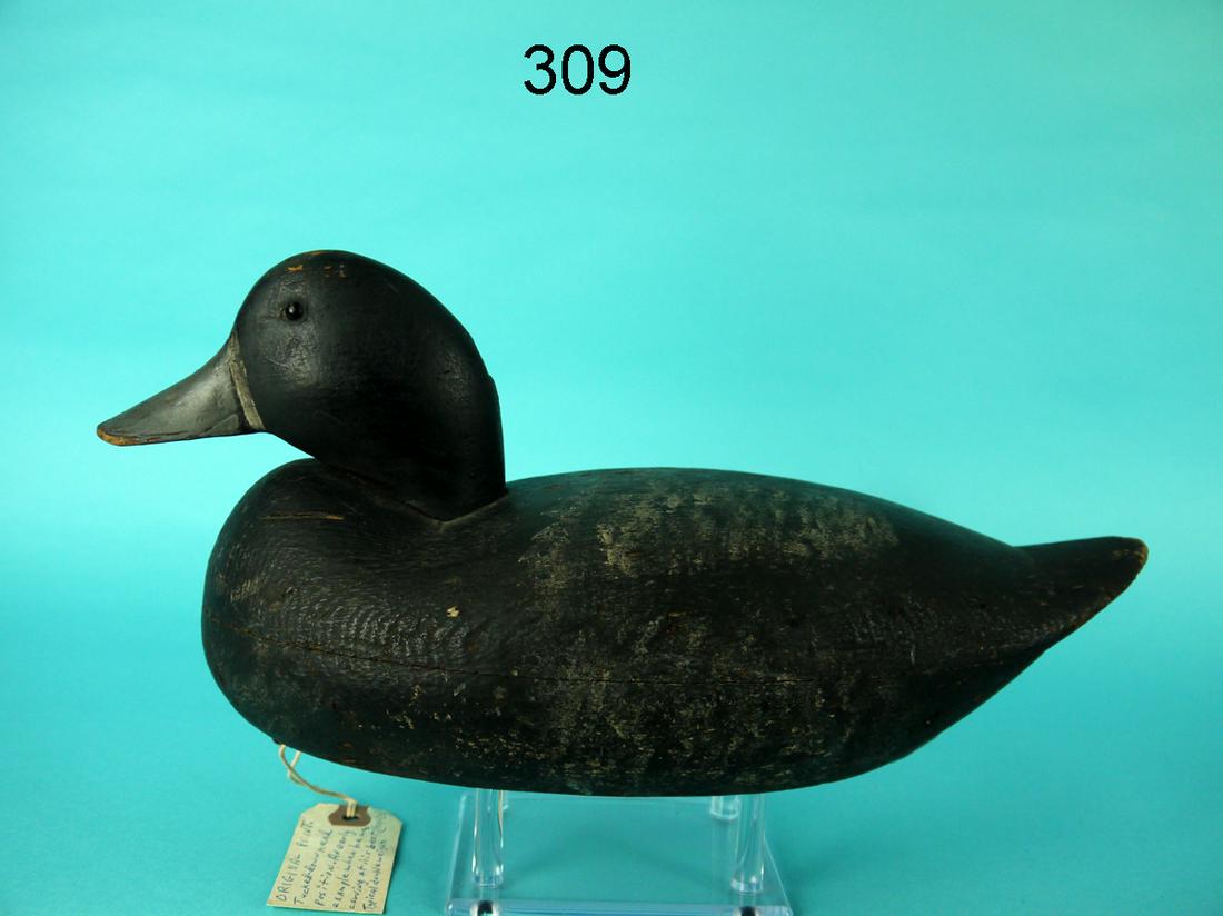 BROADBILL DRAKE, H. FENNIMORE (1 of 4)