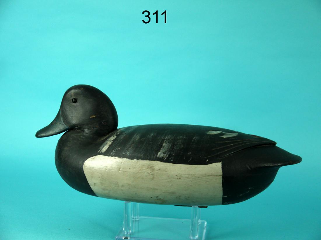 BROADBILL DRAKE, J. KING (1 of 4)