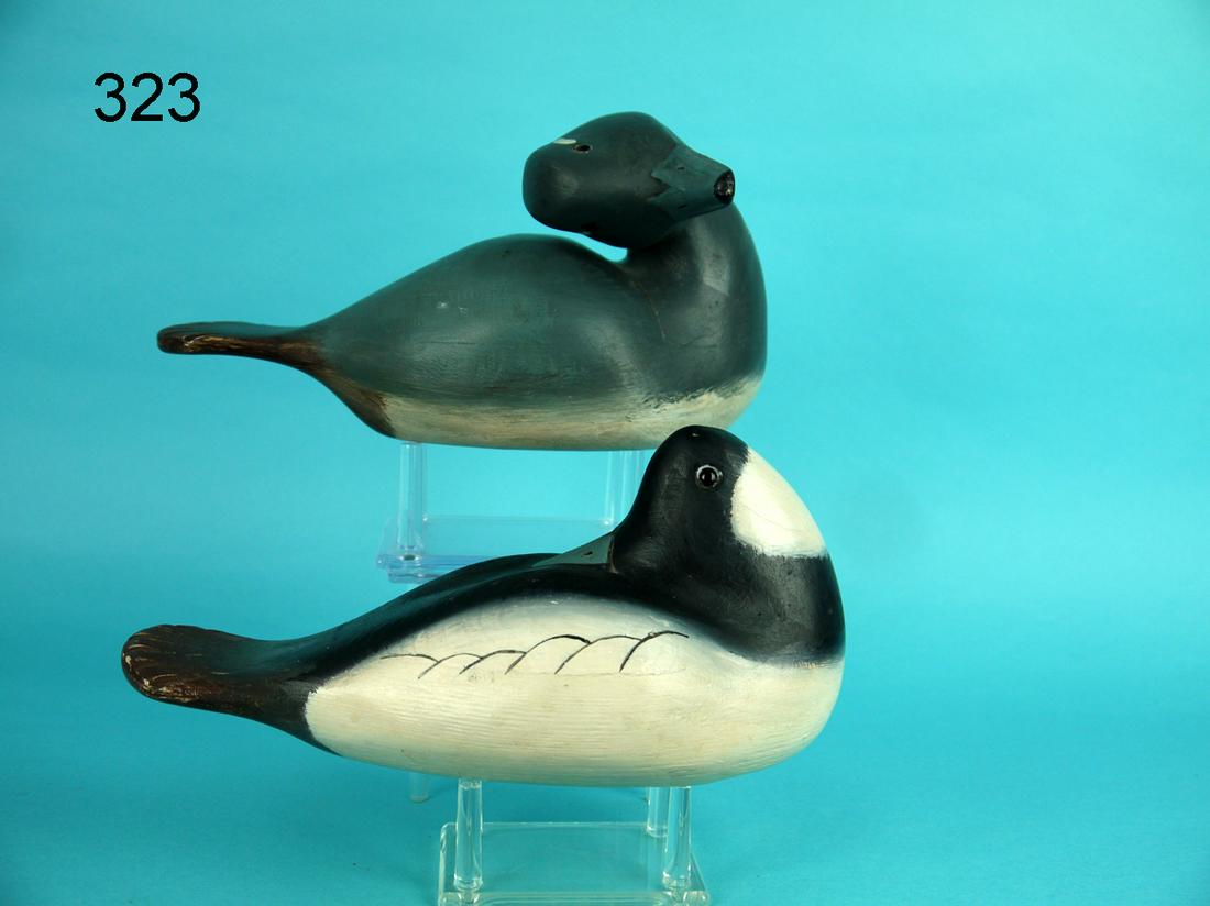 BUFFLEHEAD PAIR, W. OLER (1 of 4)
